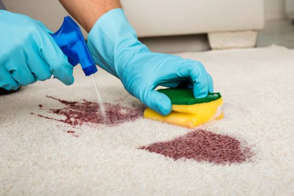 پاک کردن لکه شربت و سس از روی فرش با شامپو فرش نانوزیت