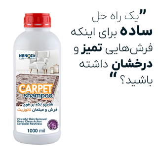 شامپو فرش و لکه بر مبلمان نانوزیت